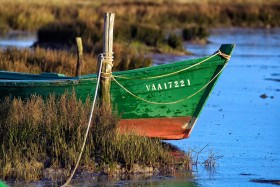 BARQUE;FLATTIE;GREEN;MONKEY BOAT;MOORING;MOUILLAGE;PLATE;VERT;MORBIHAN