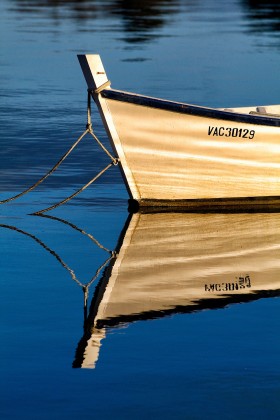 BARQUE;DORE;FLATTIE;MONKEY BOAT;MOORING;MOUILLAGE;PLATE;REFLECTION;REFLET;MORBIHAN