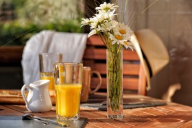 BREAKFAST;CAMPING;CAMPSITE;EXTERIEUR;HOTEL;JUICE;JUS;NATURE;OUTDOOR;PETIT DEJEUNER;FLEUR;FLOWER;BOUQUET