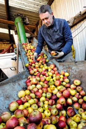 APPLE;ORCHARD;POMME;PRODUCER;PRODUCTEUR;VERGER;PRESSOIR;PRESS;EXTRACTION;JUS;JUICE