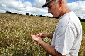 BAKER;BOULANGER;FARMER;PAYSAN;PEASANT;BLE;CORN;WHEAT