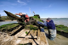 FRUIT DE MER;HUITRE;OSTREICULTURE;OYSTER;OYSTER FARMING;PRODUCER;PRODUCTEUR;SEAFOOD;PARC;PARK;TABLE;BED;POCHE