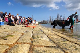 DOUARNENEZ;FESTIVAL;FETE;MARITIME;SHOW;SPECTACLE;CALE;CHIEN;SAUVETEUR