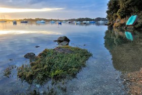 BORD DE MER;GOLFE DU MORBIHAN;SEASCAPE;SENE;MOUILLAGE;MOORING;CRIQUE;CREEK