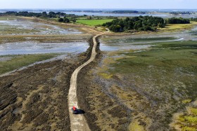 BASSE;BORD DE MER;GOLFE DU MORBIHAN;ILE;ISLAND;LANDSCAPE;LOW;MAREE;MORBIHAN;PAYSAGE;RHUYS;SEASCAPE;TIDE;AERIEN;AERIAL