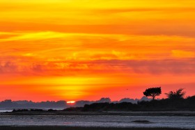 SUNSET;COUCHANT;COUCHER DE SOLEIL;MAREE;TIDE;BASSE;LOWER;GOLFE DU MORBIHAN;CREPUSCULE;TWILIGHT;ORANGE;ROUGE;RED;CONTRE JOUR;BACKLIGHT