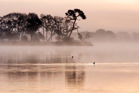 AUBE;AURORE;BRUME;EAU;ETANG;LEVER DE SOLEIL;MIST;POND;REFLECTION;REFLET;SUNRISE;TWILIGHT;WATER;OISEAU;BIRD