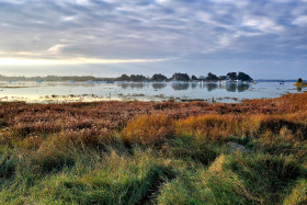 GOLFE DU MORBIHAN;BORD DE MER;SEASCAPE;MARAIS;SWAMP