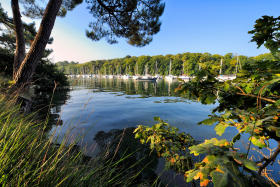 BORD DE MER;BRETAGNE;BRITTANY;CALME;MORBIHAN;SEASHORE;MOUILLAGE;MOORING;ARBRE;TREE;RIVIERE;RIVER