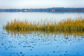 MORBIHAN;REFLET;REFLECTION;PAYSAGE;BORD DE MER;LANDSCAPE;SEASCAPE;SEASHORE;HERBIER