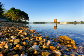 PARC;HUITRE;OYSTER;BED;FARM;MORBIHAN;REFLET;REFLECTION;PAYSAGE;BORD DE MER;LANDSCAPE;SEASCAPE;SEASHORE