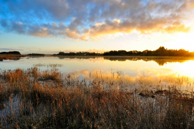 LE HEZO;SAINT ARMEL;MORBIHAN;PASSAGE;PAYSAGE;BORD DE MER;SEASCAPE;SEASHORE;LEVER DE SOLEIL;SUNRISE;CREPUSCULE;AUBE;MATIN;MORNING;REFLECTION;REFLET;MARAIS;MARAIS SALANT;BRETAGNE;BRITTANY