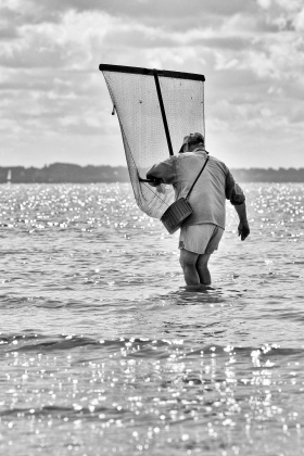 PECHE A PIED;FISHING ON FOOT;FISHING ON THE SHORE;BORD DE MER;SEASHORE;SEASIDE;BLACK AND WHITE;NOIR ET BLANC;HAVENEAU