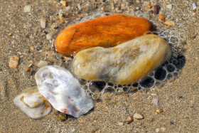 PLAGE;BEACH;SABLE;SAND;CAILLOU;GALET;ROCHE;ROCK;STONE;BULLE;BUBBLE