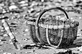 PECHE A PIED;FISHING ON FOOT;FISHING ON THE SHORE;BORD DE MER;SEASHORE;SEASIDE;BLACK AND WHITE;NOIR ET BLANC;PECHE;PIED;SHELLFISH;PANIER;COUTEAU;KNIFE;BASKET;PLAGE;SABLE;BEACH;SAND