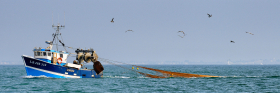 PECHE;FISHING;BATEAU;BOAT;FILET;NET