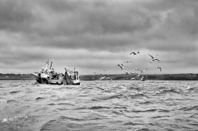 PECHE;FISHING;BATEAU;BOAT;IROISE;NOIR ET BLANC;BLACK AND WHITE