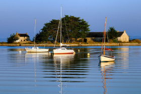 PAYSAGE;BORD DE MER;LANDSCAPE;SEASCAPE;MOORING;MORBIHAN;MOUILLAGE;SAINT ARMEL;RHUYS;MATIN;MORNING