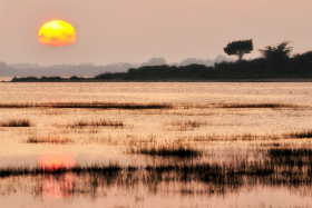 COUCHANT;COUCHER DE SOLEIL;CREPUSCULE;SUNSET;SUN;TWILIGHT;SOLEIL;MORBIHAN;GOLFE;GOLFE DU MORBIHAN;SENE;ORANGE;PASTEL