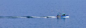 BATEAU;BOAT;FISHING;PECHE;FINISTERE;PENN AR BED;IROISE