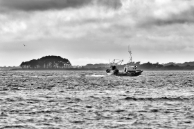 BATEAU;BOAT;FISHING;PECHE;ARZON;MORBIHAN;GOLFE;GOLFE DU MORBIHAN;LOCMARIAQUER;BRUME;BLACK AND WHITE;NOIR ET BLANC