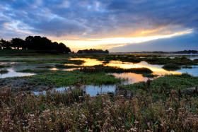 AUBE;LEVER DE SOLEIL;SUNSET;TWILIGHT;CREPUSCULE;PAYSAGE;LANDSCAPE;SEASCAPE;SEASHORE;BORD DE MER;GOLFE DU MORBIHAN;MARAIS;SWAMP