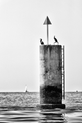 TOURELLE;TURRET;CORMORAN;CORMORANT;BLACK AND WHITE;NOIR ET BLANC;LATERALE;TRIBORD;MARK;STARBOARD;BALISAGE;BEACONAGE