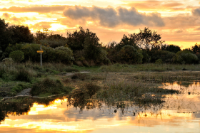 LE HEZO;MORBIHAN;PASSAGE;PAYSAGE;BORD DE MER;SEASCAPE;SEASHORE;LEVER DE SOLEIL;SUNRISE;CREPUSCULE;REFLECTION;REFLET;MARAIS;MARAIS SALANT;BRETAGNE;BRITTANY;SENTIER;PATH;SAINT ARMEL;AUBE;MATIN;MORNING