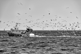 BATEAU;BOAT;FISHING;PECHE;BLACK AND WHITE;NOIR ET BLANC;FINISTERE