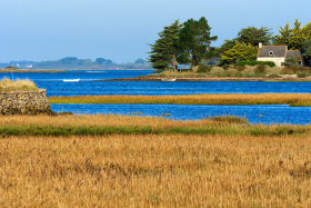 BORD DE MER;SEASCAPE;PAYSAGE;LANDSCAPE;MORBIHAN;ILE;ISLAND;HERBIER;SEA GRASS BED;MAISON;HOUSE