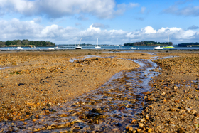 PLAGE;BEACH;BORD DE MER;SEASHORE;PAYSAGE;SEASCAPE;SABLE;SAND;MAREE;TIDE;ARZON;MORBIHAN